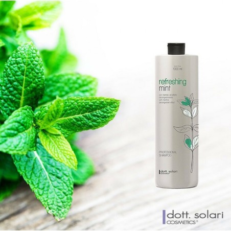 Energizační šampon na lupy Mint Shampoo Dott.Solari
