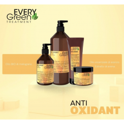 Antioxidační přírodní denní šampon EveryGreen
