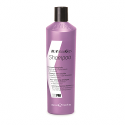 Stříbrný šampon na melírované vlasy - Silver no yellow Shampoo 